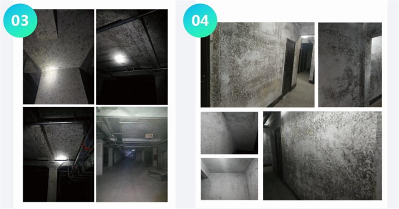 霉菌的溫床：地下車庫或儲(chǔ)藏室潮濕、滲漏...(圖2)